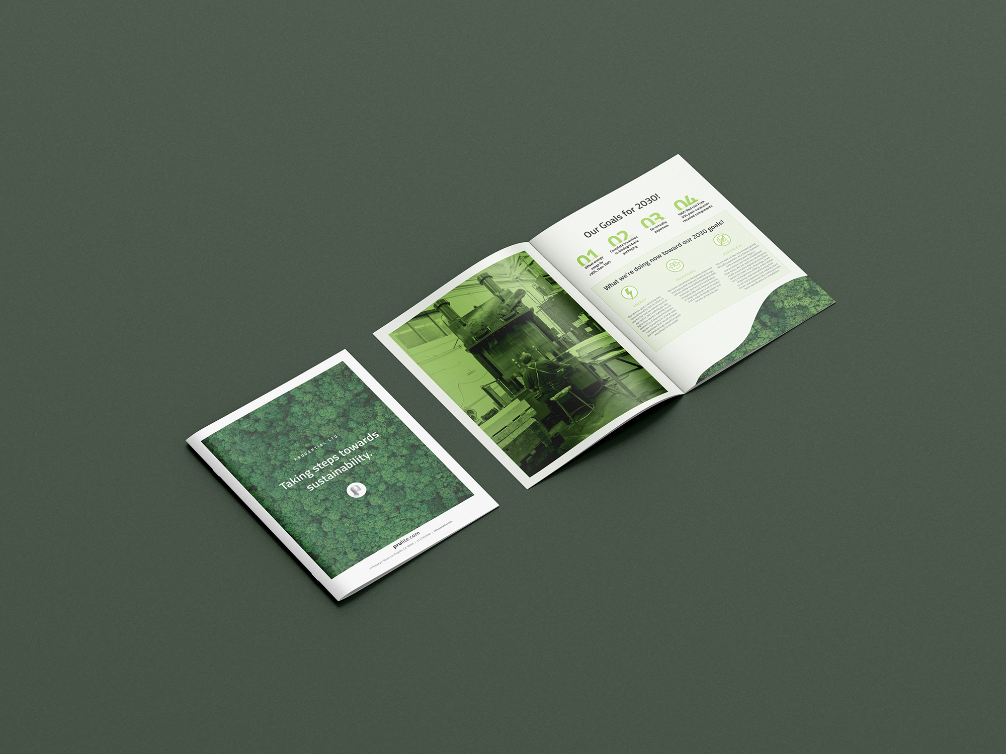 Sustainability brand branding crea creative designer graphic design sustainability