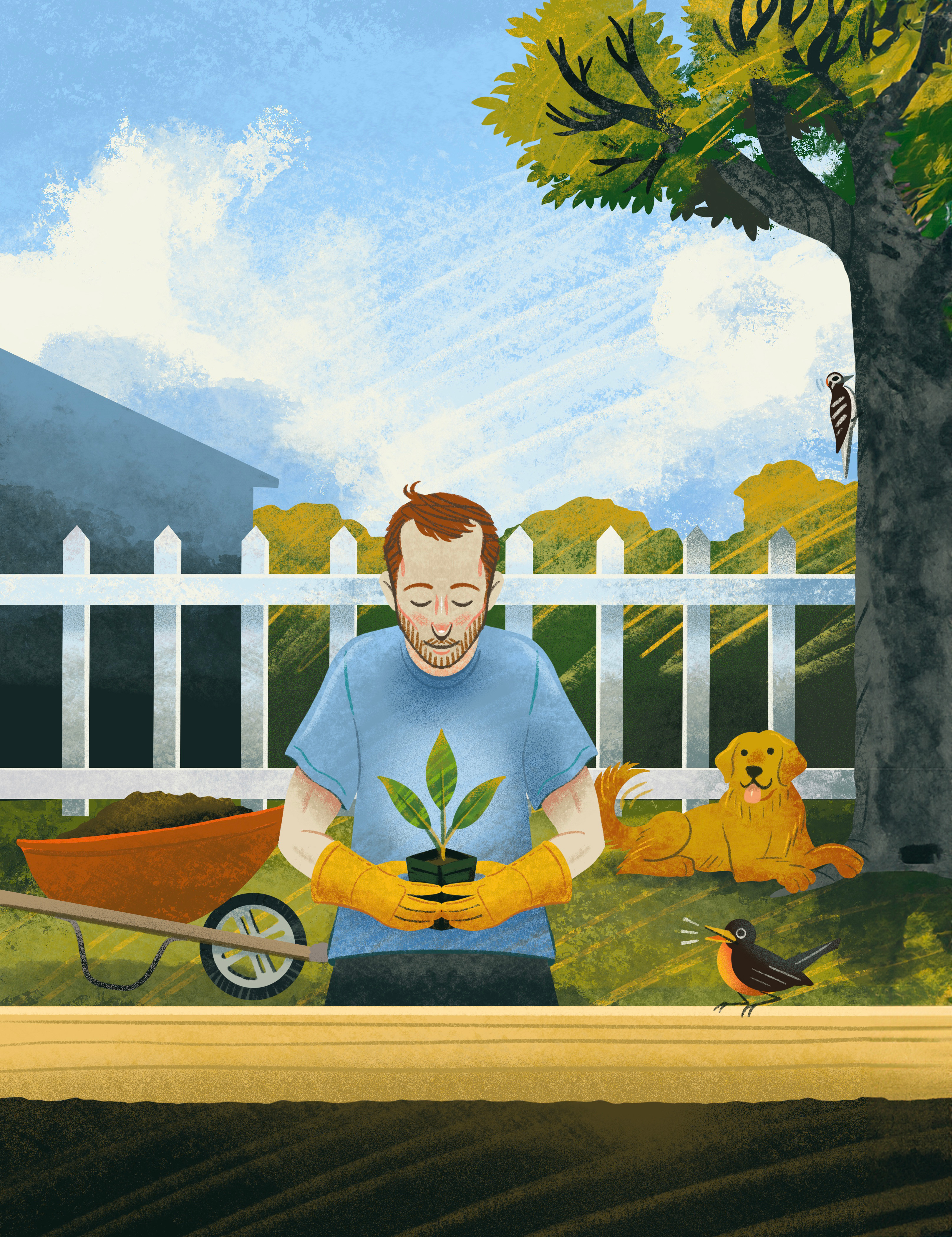 Springtime Magazine Cover Illustration cloud dog fence garden gardening golden retriever health care holistic man nebraska outdoors peaceful plant planting robin spring springtime tree wheelbarrow woodpecker