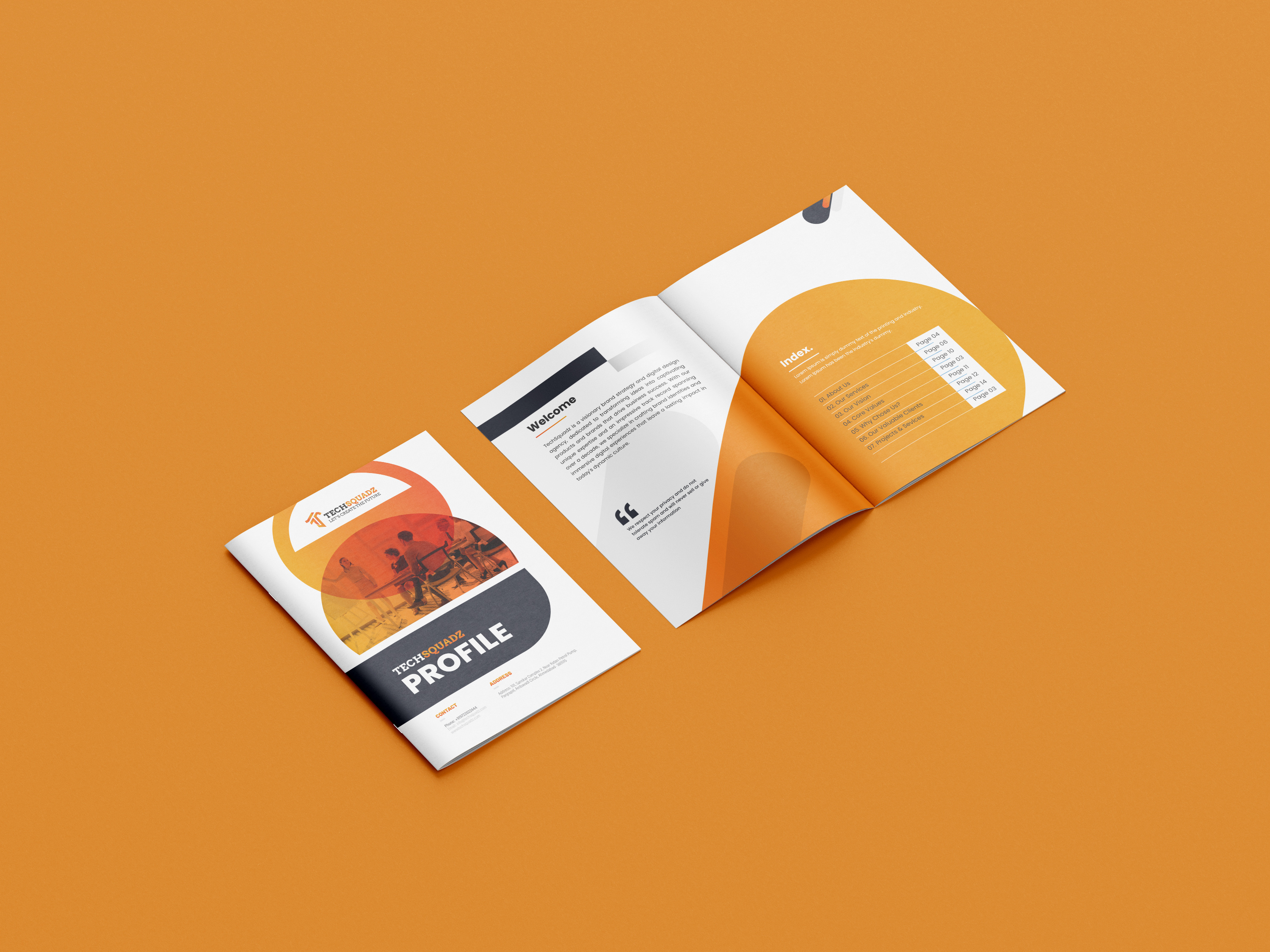 Example of Brochure | Company Profile Design