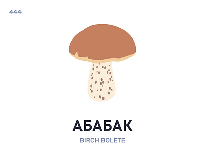 Абáбак / Birch bolete belarus belarusian language daily flat icon illustration vector word