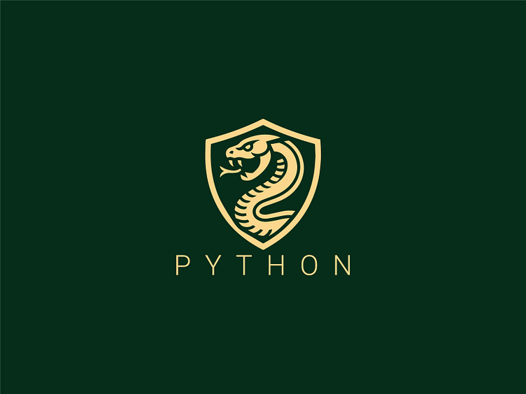 Python Logo by HUSSNAIN GRAPHICS on Dribbble
