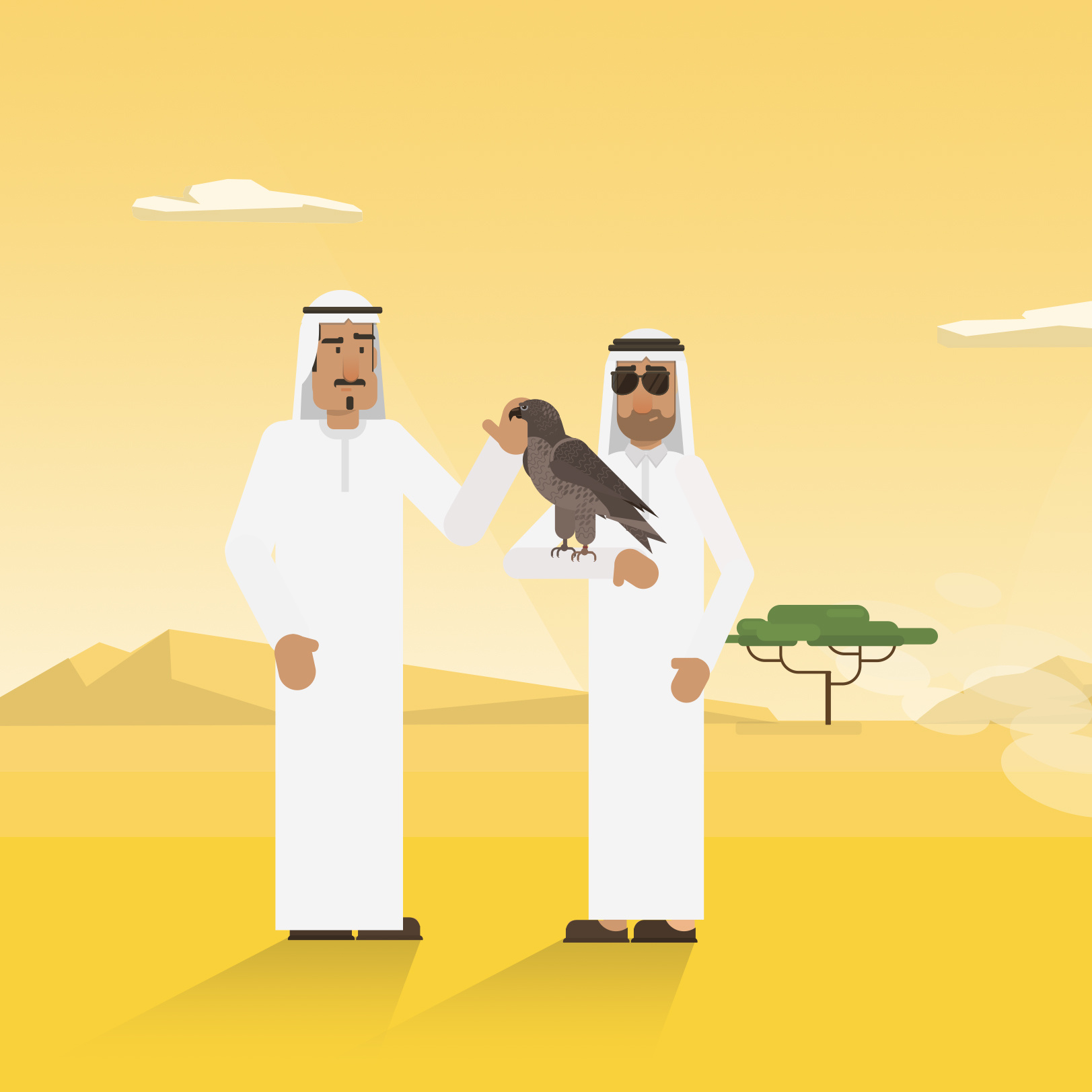 My Hawk! desert design hawk ill illustration manal yosri motion graphics