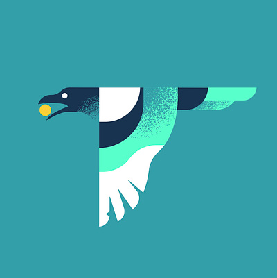 Mischievous Magpies – The Coin art bird illustration magpie vector wildlife