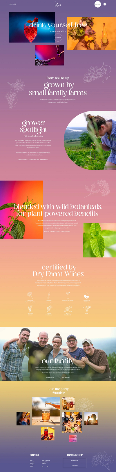 Bolixir Case Study beverages botanical development drinks ecommerce lavander nature pink purple shopify startup ux web design website wine