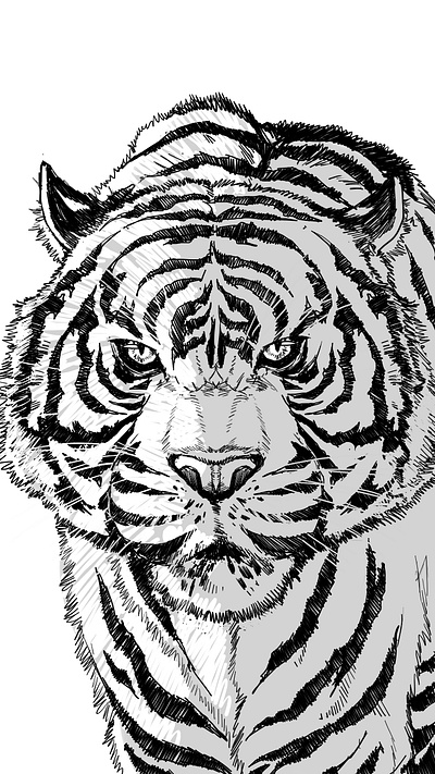 tiger potrait animation art black and white character design comic comic book design drawing illustration manga