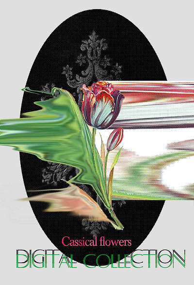 Digital art color design flower graphic graphic design inspiration shape visual