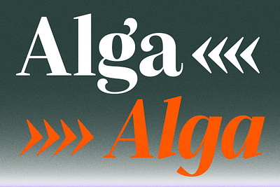 Alga display editorial font headline magazine serif