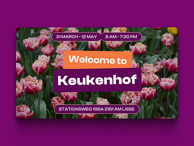 Keukenhof flower exhibition banners advertising banner branddesign branding colourful design event figma flower graphic design inspiration minimal pattern smm typography vector