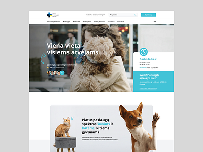 Jakovo klinika animal clinic web design branding design graphic design modern web design pet hospital web design ui ux web