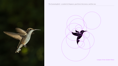 Hummingbird Studio Logo Design branding golden ratio graphic design logo