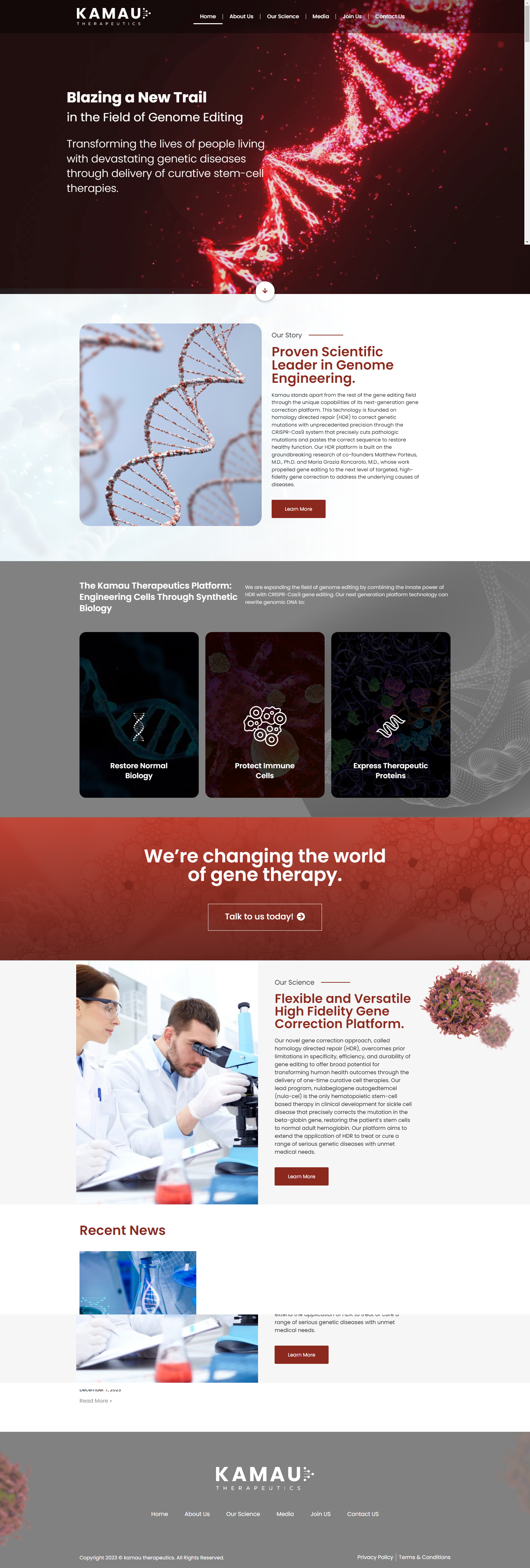 WEB DESIGN FOR THERAPIST WEBSITE animation branding graphic design logo ui ux web design web development