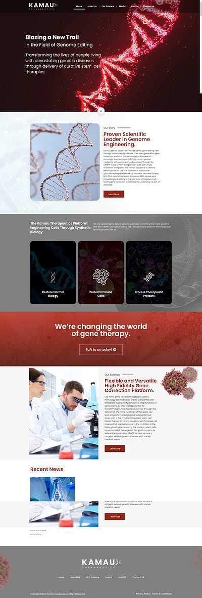 WEB DESIGN FOR THERAPIST WEBSITE animation branding graphic design logo ui ux web design web development