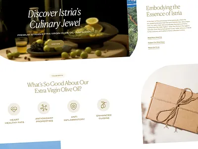 Istrica - Extra Virgin Olive Oil Website Design modern olive olive oil olive oil website olive website ui ux web web design website