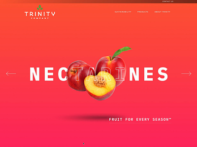 Trinity Website Re-Design branding design modern ui web design website