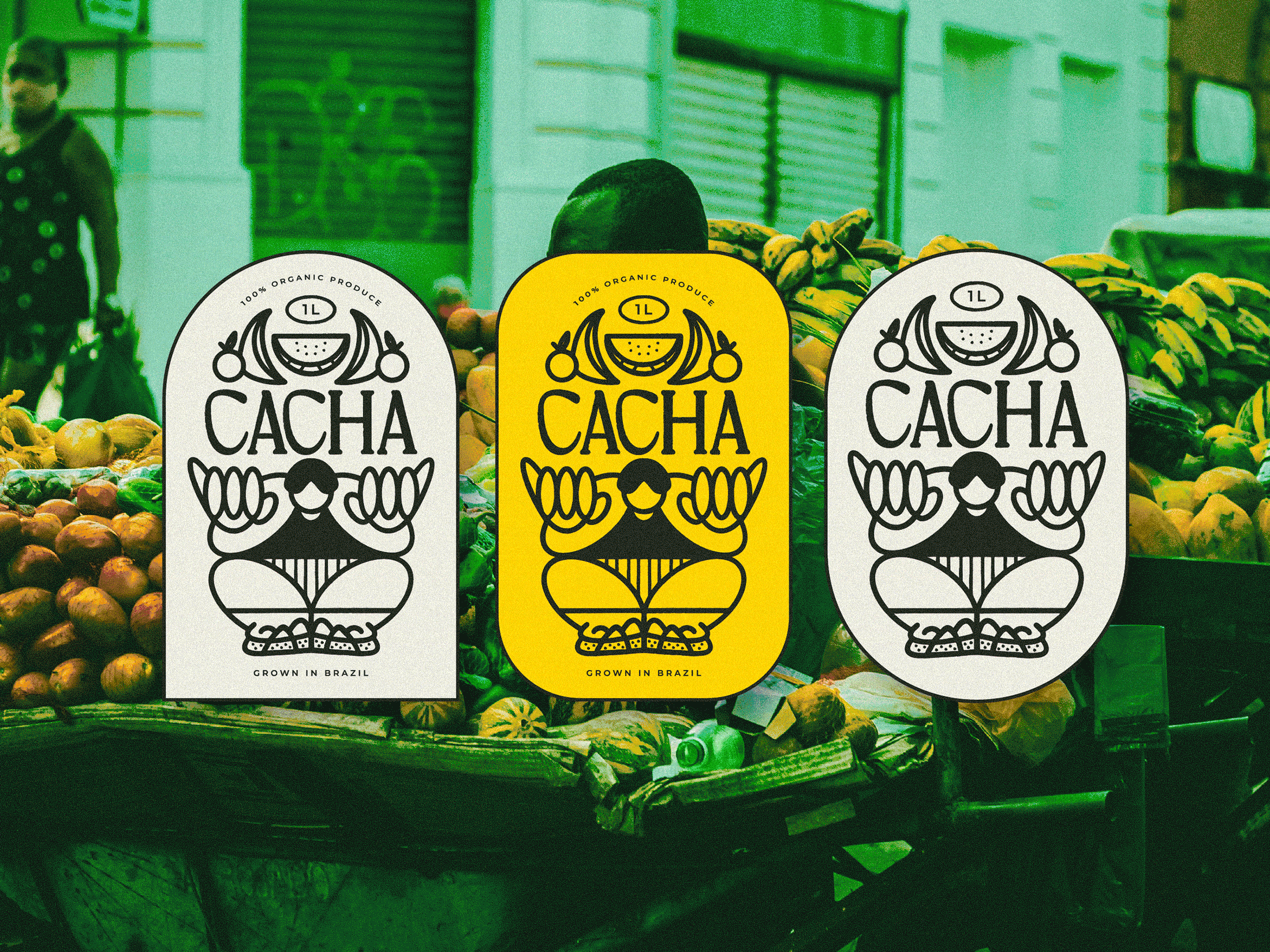 🇧🇷 CACHA beverage brand design branding brazil cartoon character freelancer fresh fruit illustration juice logo motion graphics nikolaobradovic ondsn organic packaging design typography visual