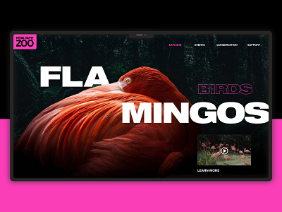 Fresno Chaffee Zoo Rebrand branding design graphic design mobile design modern ui web design