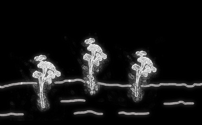 ghostly plants digital art flora monochrome photomanipulation plants