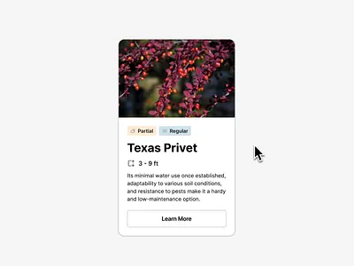 Card Selection Interaction 💫 app design interface ui ux webdesign website