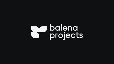 Balena Projects balena projects brand brand design brand identity branding construction design graphic design interior interior design letterhead salumi salumi studio visual identity