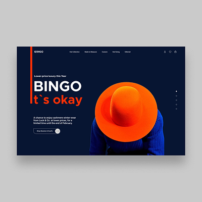 BINGO Landing Page agency case study design graphic design landing page new work online shop redesign ui web web design website