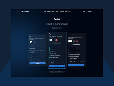 Raycast - Pricing Page Design branding design pricing page design pricing plan ui design user interface design web design website design