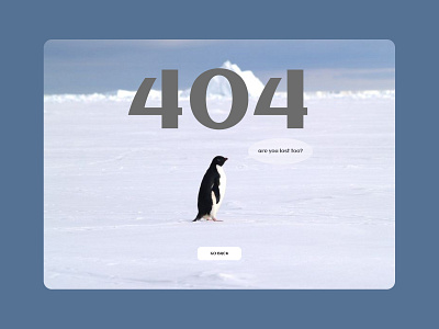 404 error page 404 page design design concept error page figma landing penguin photoshop uxui design web design