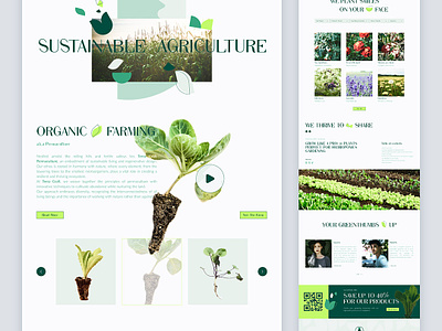 Terra Craft - Organic Farming clean farm garden grow minimal minimalistic nature organic plants shop sustainable typography ui uidesign webdesign website