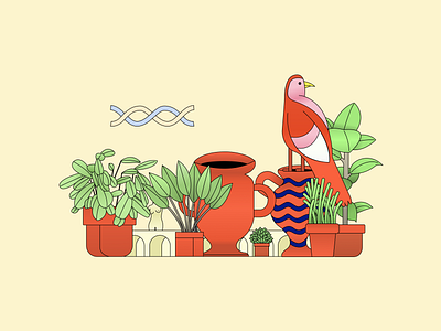 The patio animals bird branding figma garden grecian hero illustration outside plants pots roman