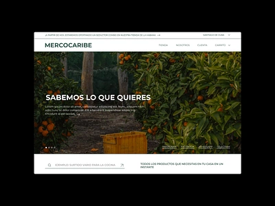 Mercocaribe website. Food products and household utilities dailyui design product design ui ui design ux uxui web design