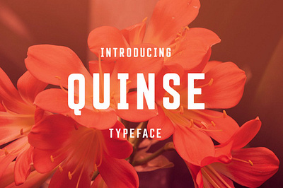 Quinse Font advertising bold bold font brand personality branding confident display french style headline hipster international logos packaging quinse font sans serif stylish type typeface webfont website