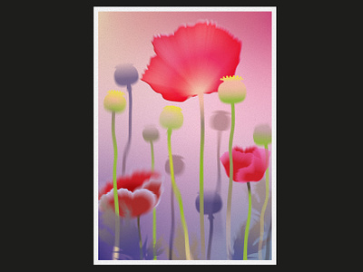 Poppy Flowers art creative digital dribbblers graphic design illustration inspiration uitrends vector