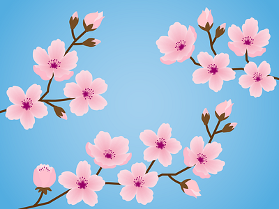 Spring! adobe adobeillustrator blossom cherry blossom design digitalart flower graphic design illustration sakura springillustration vector vector illustration vectorartist