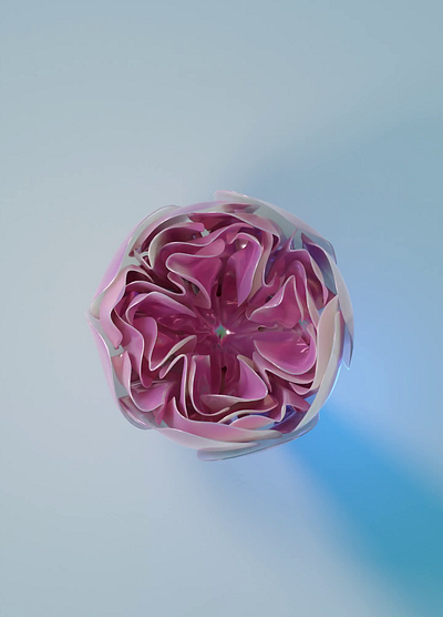 Bloom animation blender bloom flower flowers illustration spring