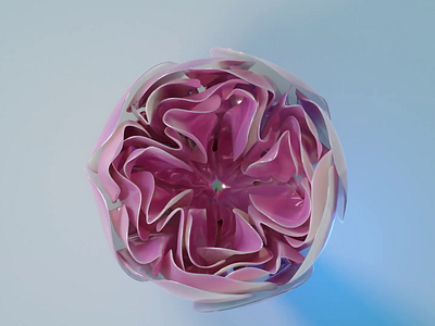 Bloom animation blender bloom flower flowers illustration spring