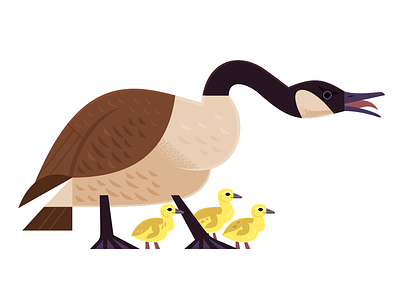 Canada Goose animals birds design goose illustration nature spot illustration vector wildlife