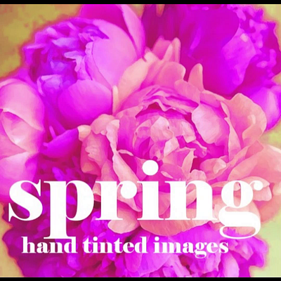 Spring graphic design graphics hand tinted images illustration