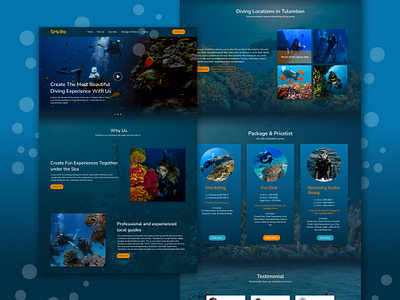 Landing Page Dive Website landing page ui uiux design web design