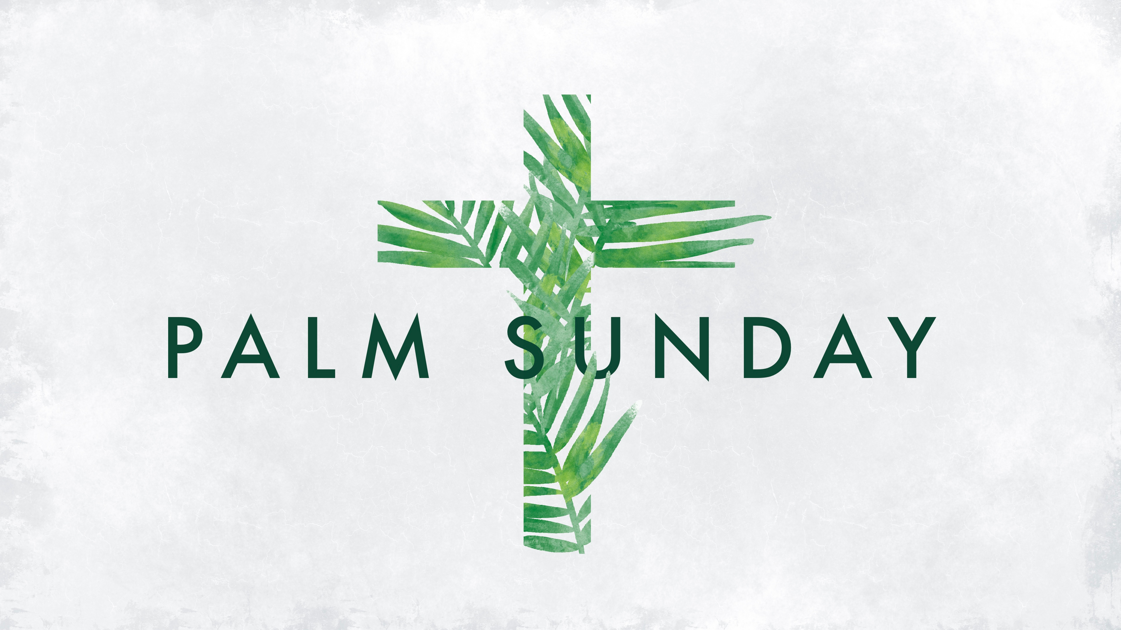 Palm Sunday cross sermon watercolor