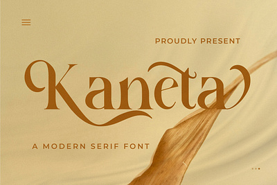 Kaneta - A Modern Serif Font style