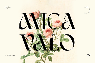 Mica Valo | Elegant Serif Font | Free To Try Font branding free font
