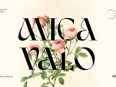 Mica Valo | Elegant Serif Font | Free To Try Font branding free font