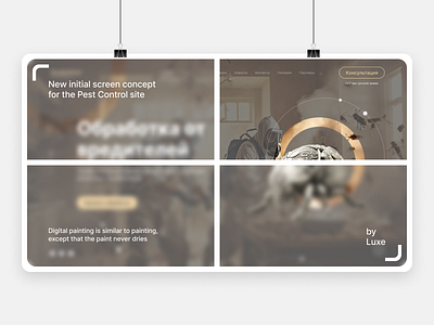 Website || Pest control concept dailyui design landing page landingpage pest control pestcontrol ui ui design uidesign uiux ux ux design uxdesign uxui web web design web site webdesign website