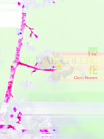 Cherry blossoms color design graphic illustration inspiration shape visual