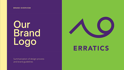 Erratics Logo and Brand Guidelines brand design brand guidelines brand guides brand identity branding graphic design logo logo design