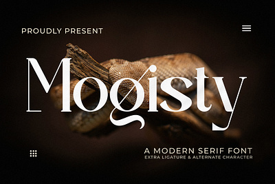 Mogisty - A Modern Serif Font abc