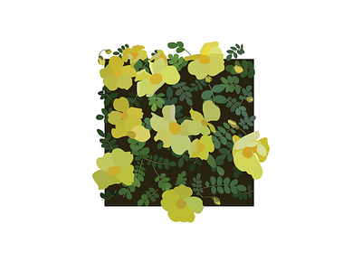 Plant/Flower graphic design illustration vector