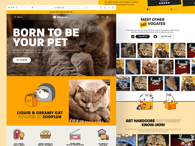 Cat Landing page adopt branding cat cat meal clean design ecommerce figma fun page graphic design homepage illustration indonesian landing page logo meal product page ui vector yellow