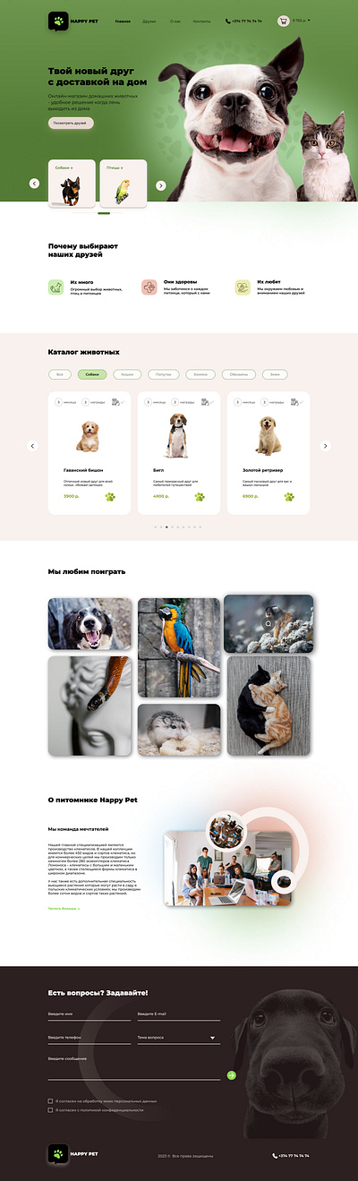 Website for a Pet Shop art dailyui design designer ui website wedesigner