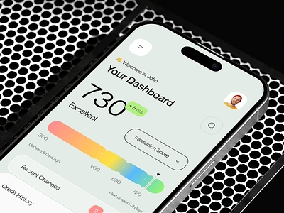 Credit Pros App - Credit Score Dashboard admin app app design b2b business corporate credit crm dashboard design finance fintech management mobile mobile app product design saas software ui ux