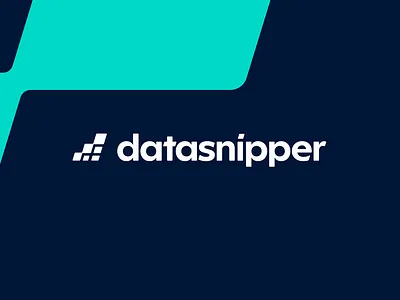 DataSnipper's Design system design design system icons ui ux variables